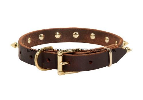 Spiked Leather Dog Collar