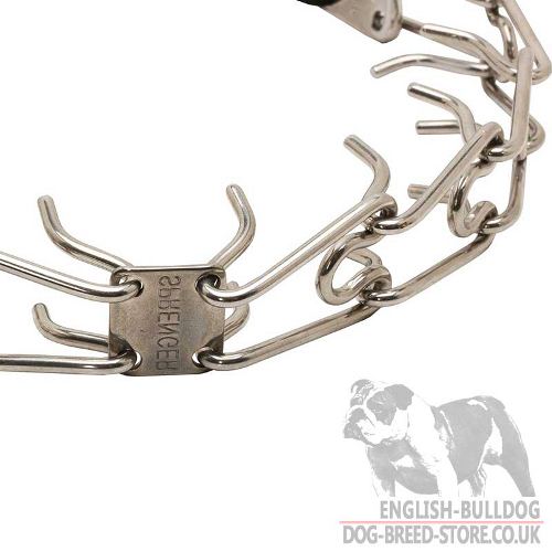 Herm Sprenger Dog Collar