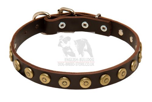 Dog Walking Collar