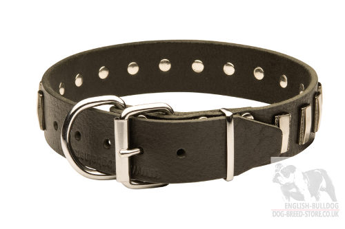 Trendy Dog Collar for Bullmastiff UK