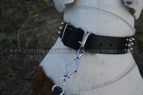 Bulldog Collar