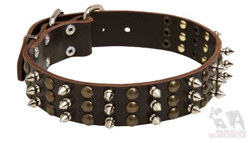 Trendy Dog Collar UK