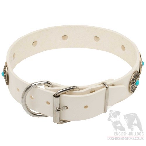 White Leather Dog Collar