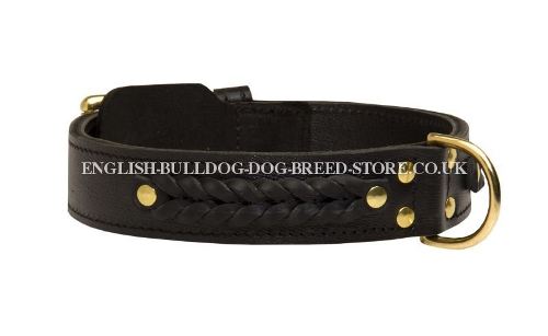 Wide Dog Collar