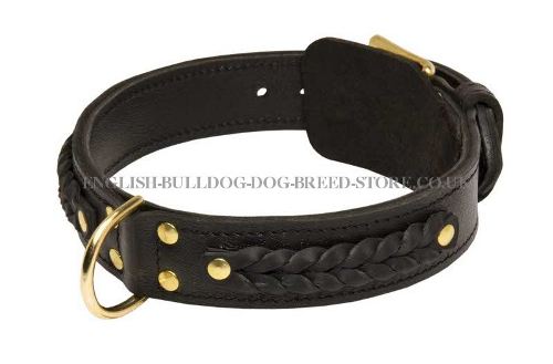 Wide Leather Dog Collar