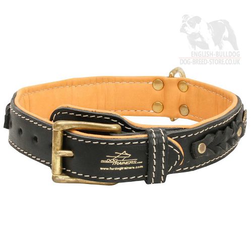 Leather Dog Collar for Old Victorian Bulldog