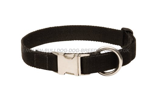 Adjustable Nylon Dog Collar