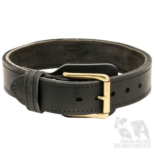 Large Dog Collar