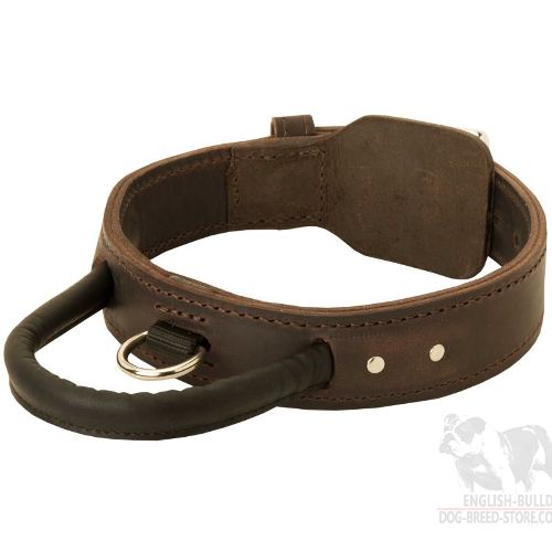 Agitation Dog Collar UK