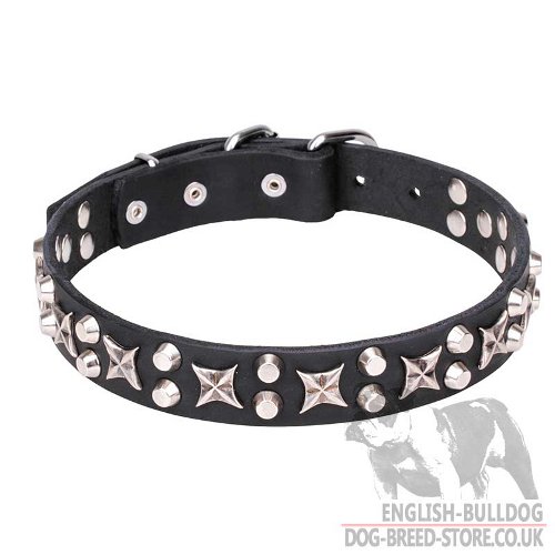 Amazing Dog Collar UK for Bulldog