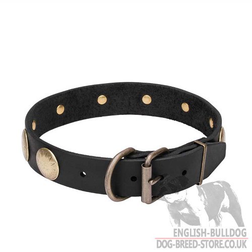 Amazing Dog Collars UK