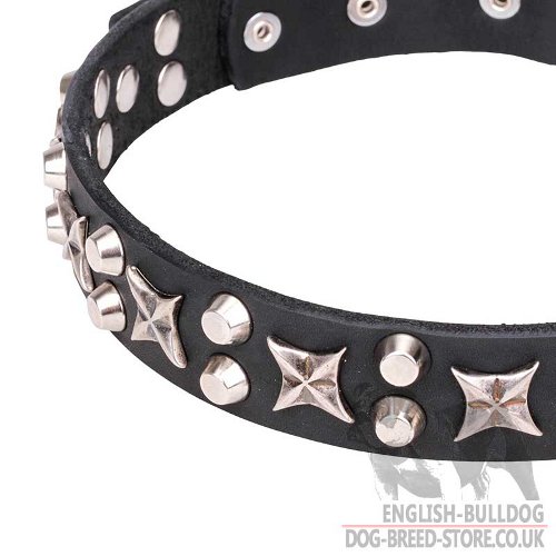 Amazing Dog Collars UK for Bulldog