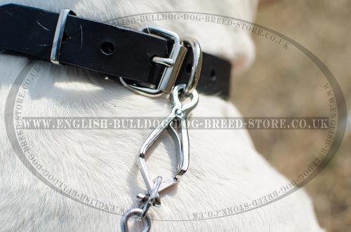 American Bulldog Collars UK