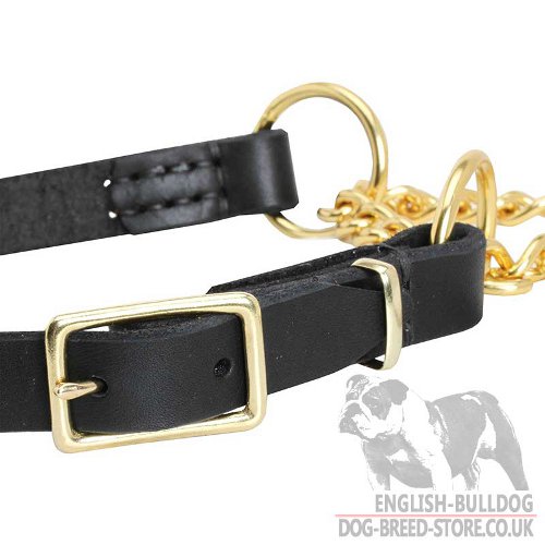 Leather Martingale Dog Collars UK