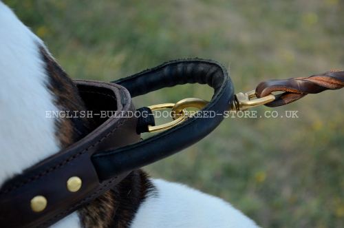 Large Dog Collar with Handle