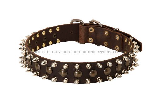 English Bulldog Collar UK