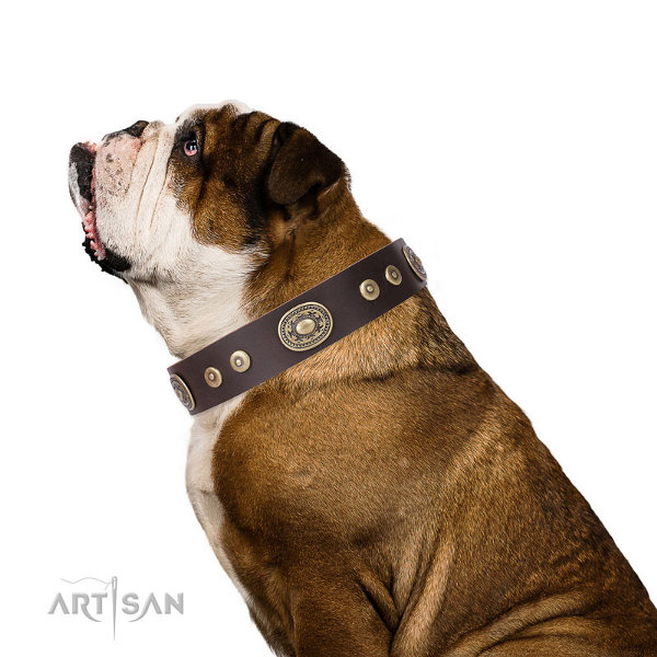 Artisan Dog Collars