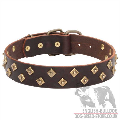 Attractive Dog Collars