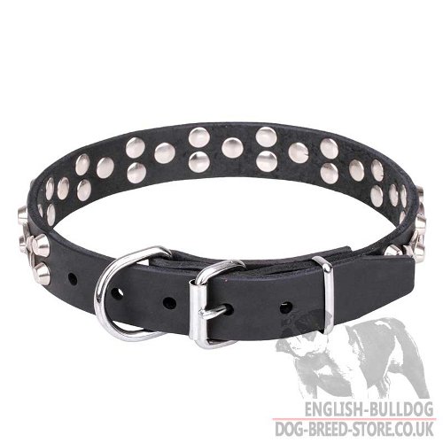 Awesome Dog Collars UK for Bulldog