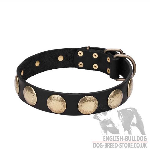 Awesome Dog Collar UK