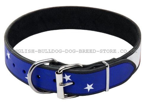 Best Bulldog Collar