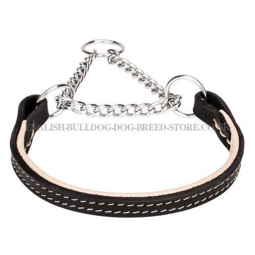 Best English Bulldog Collar