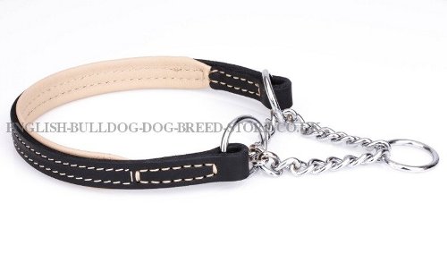 Best Training Collar for English Bulldog