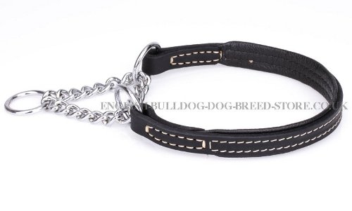 Best Training Collar for English Bulldog