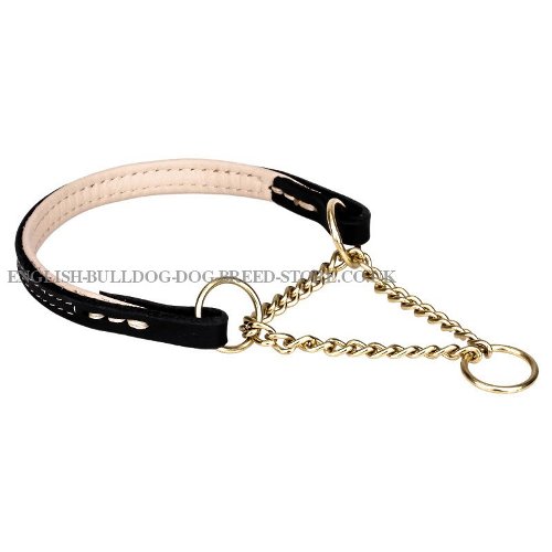 Best Training Collar for English Bulldog