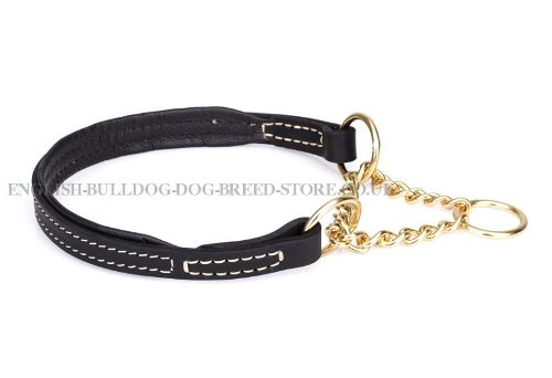 Best Training Collar for English Bulldog