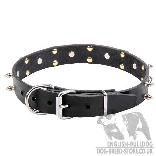 Biker Collar for Dogs