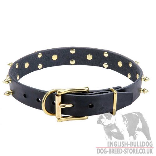 Biker Collars for Dogs