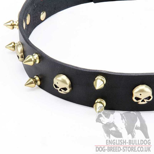 Biker Dog Collars