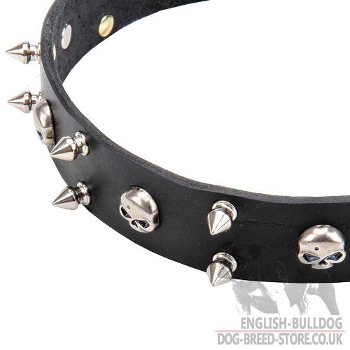 Biker Dog Collars