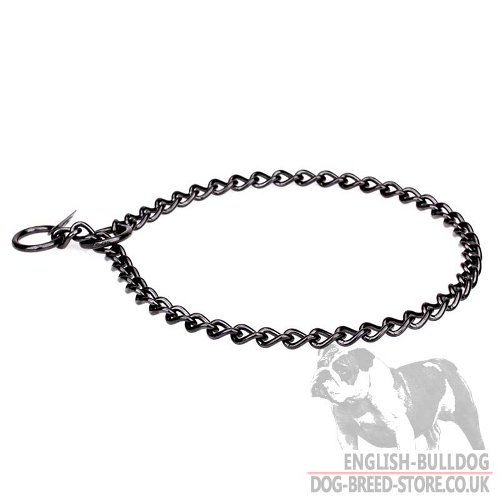 Bulldog Training Collar UK