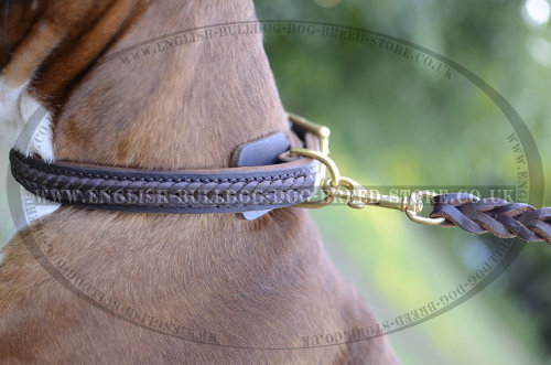 Boxer Leather Dog Collars