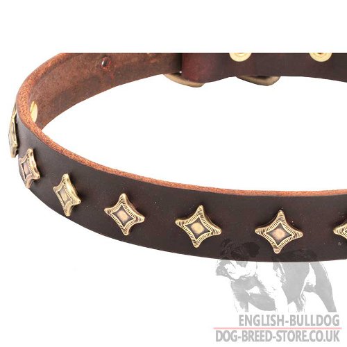 Leather Dog Collar with Stars