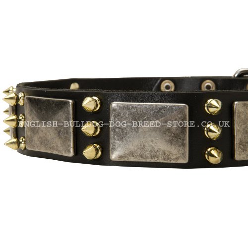 Bulldog Collar UK