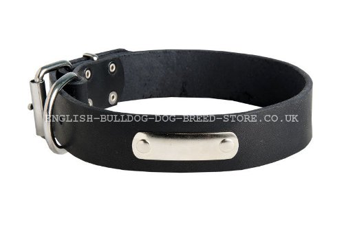 ID Dog Collar Leather for Bullmastiff
