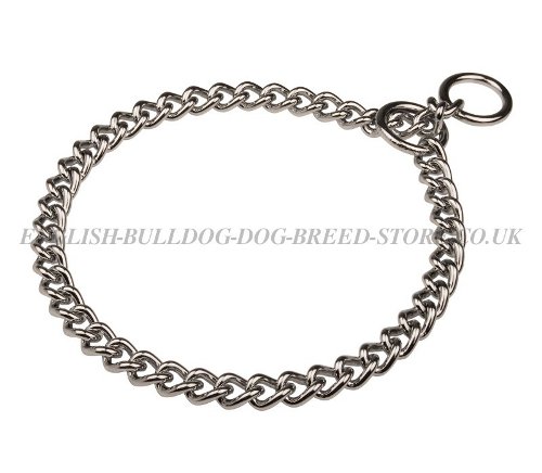 Chain Dog Collar