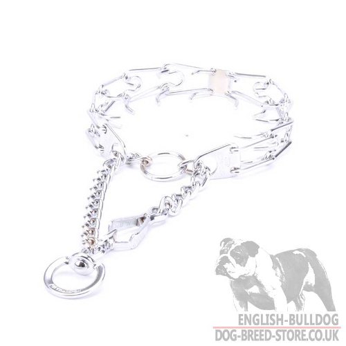 Bulldog Collar for Behavior Correction