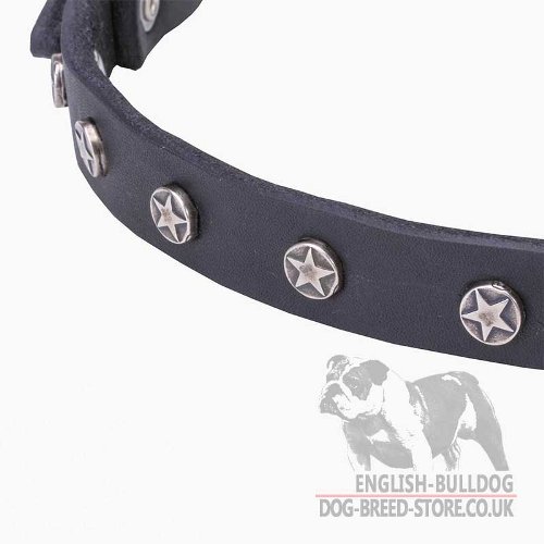 Bulldog Collar