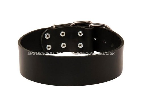 Bulldog Collar