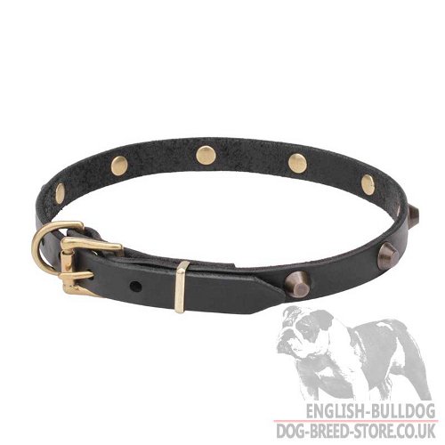 Dog Collar Necklace UK