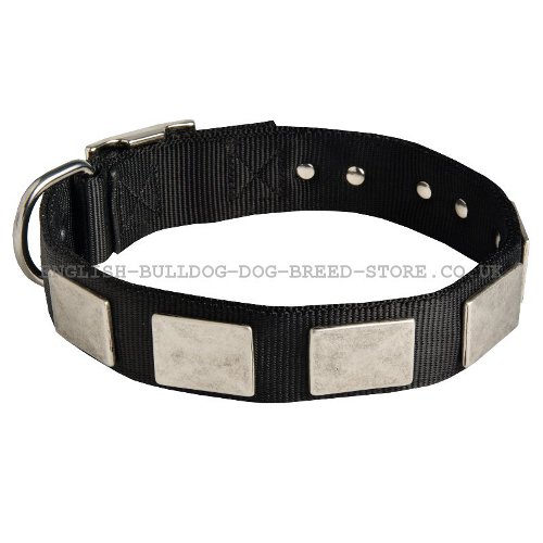 Bulldog Collars UK