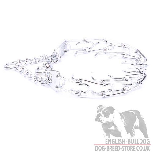 Bulldog Collar with Prongs