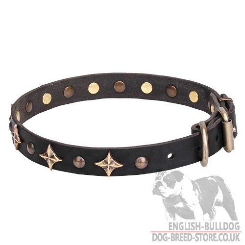 Leather Dog Collar with Stars for Bulldog