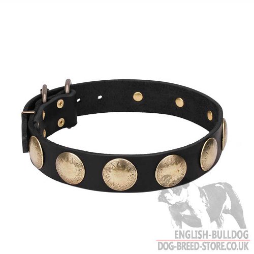 Amazing Dog Collar UK