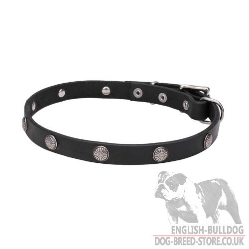 Bulldog Collar UK Ancient