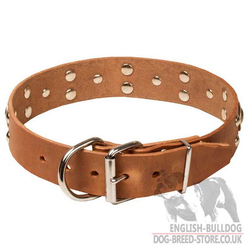 Bulldog Collars UK